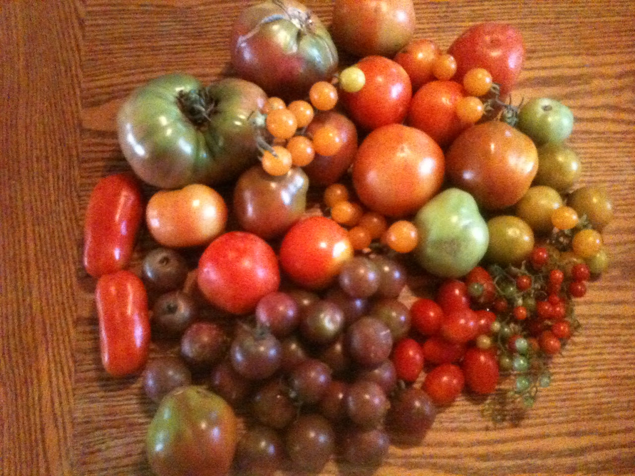 1,200,000 Emergency Survivalist/Garden Seed Bucket Heirloom, Non-gmo Seeds!