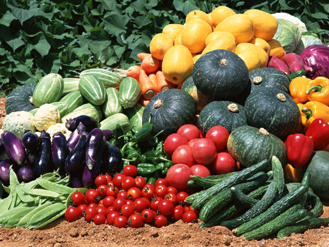 1,200,000 Emergency Survivalist/Garden Seed Bucket Heirloom, Non-gmo Seeds!