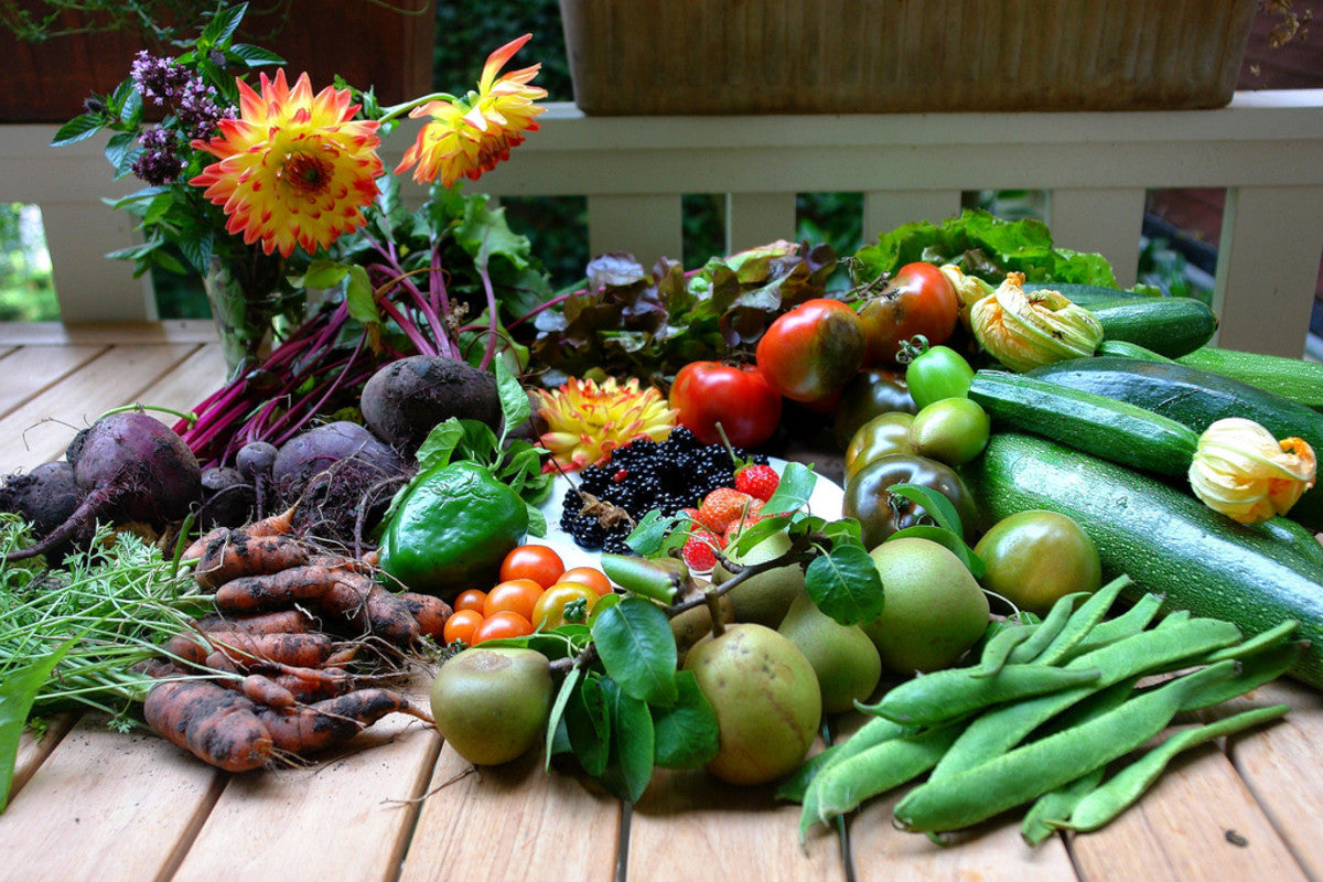 47,000+ Preppers Vegetable Survival Garden Seed Cache "101 Varieties with Herbs!